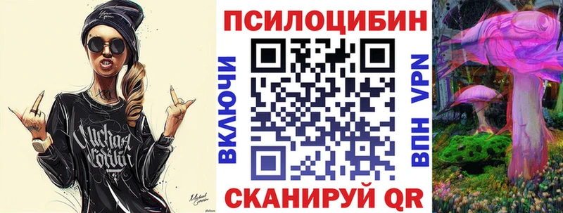 дарнет шоп  Олонец  hydra ONION  Псилоцибиновые грибы Psilocybe 